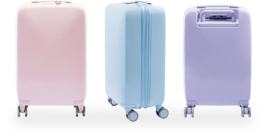 Raden Suitcases 2x