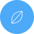 Leaf icon for health and wellness app development