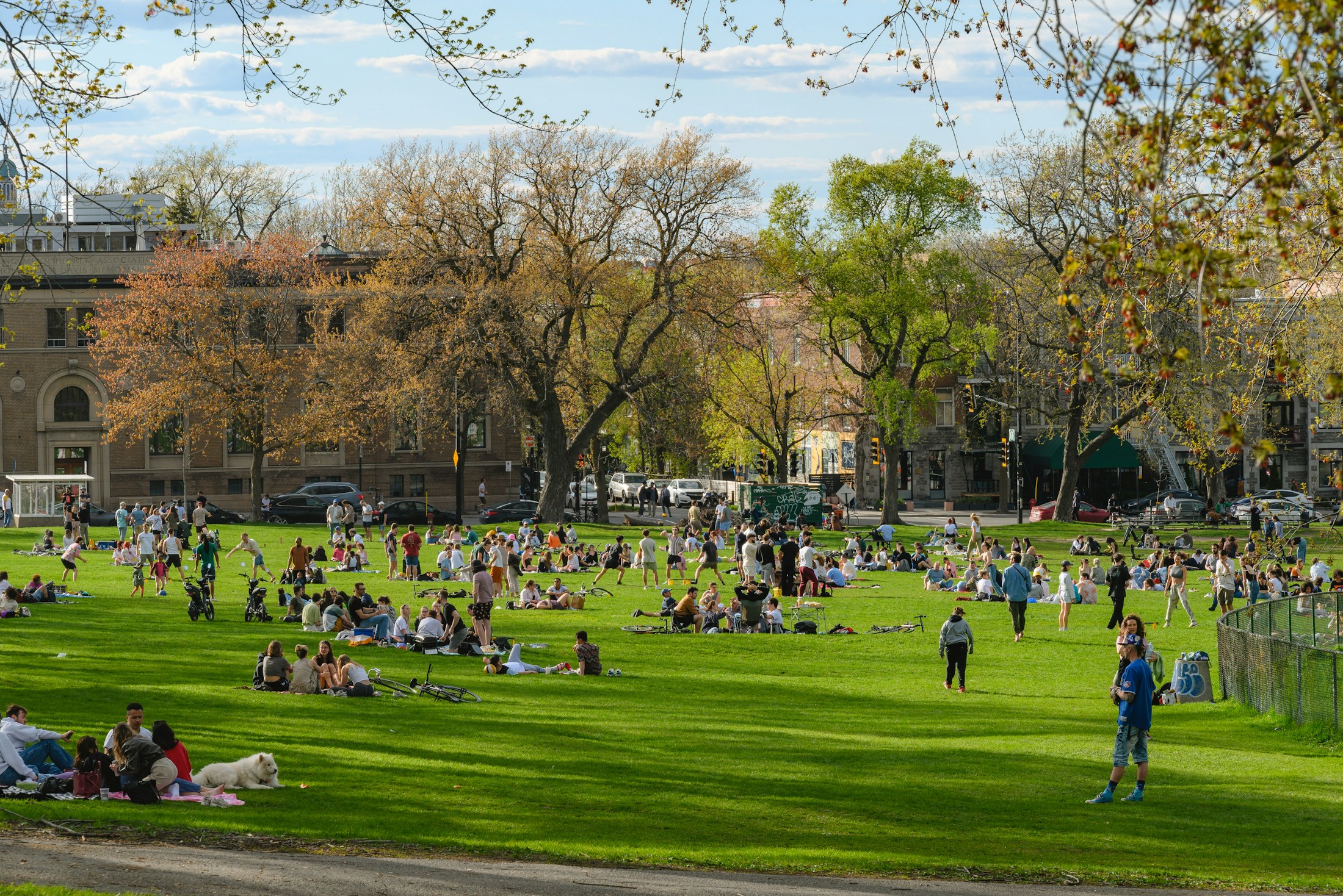 Community park