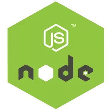 node js web app development